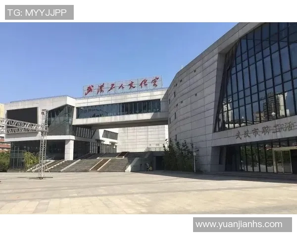 武汉篮球队区域防守革新之路探索与实践分析