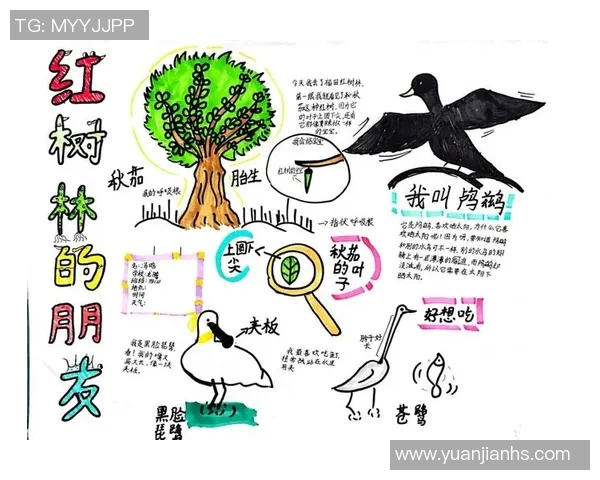 深圳乒乓球队的灵活性探索与发展：从训练到比赛的全方位分析